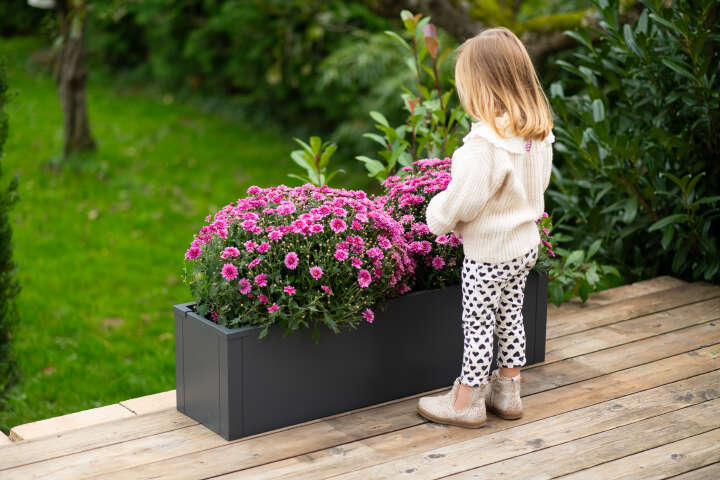 WESTMANN Pflanzkübel Talus